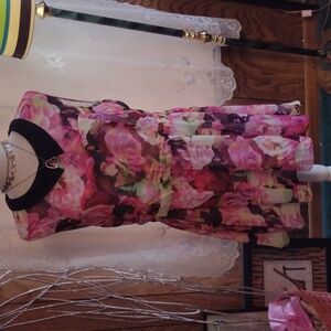 Elegant Floral Mini Dress with Black Collar